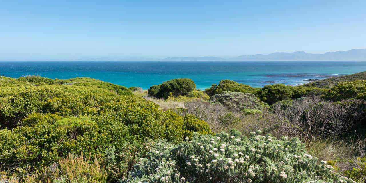 Romans Villa Gansbaai Kültér fotó