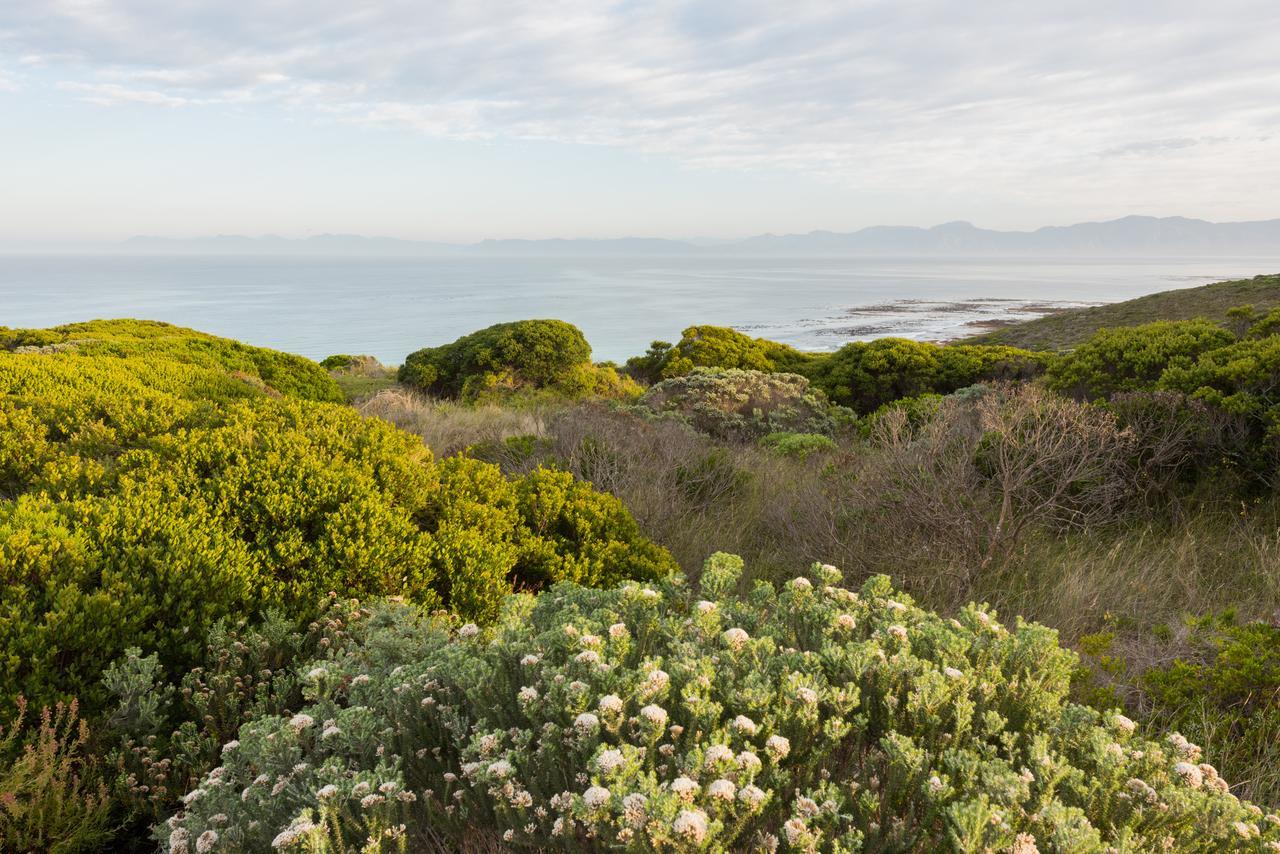 Romans Villa Gansbaai Kültér fotó